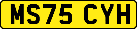 MS75CYH