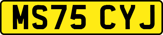MS75CYJ