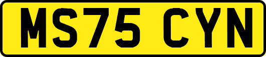 MS75CYN