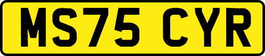 MS75CYR