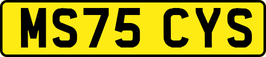 MS75CYS