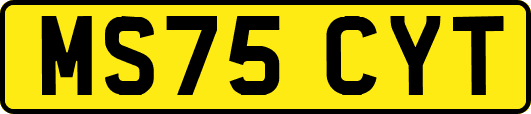 MS75CYT
