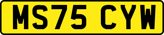 MS75CYW