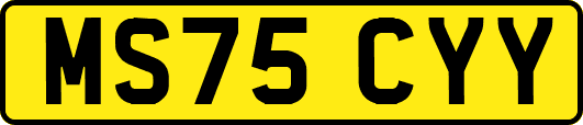 MS75CYY