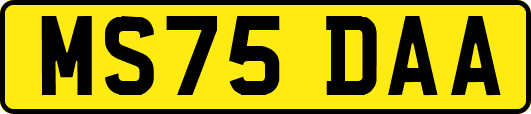 MS75DAA