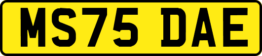 MS75DAE