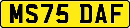 MS75DAF