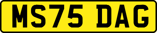 MS75DAG