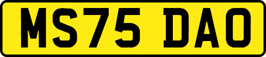 MS75DAO