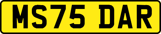 MS75DAR