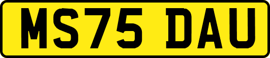 MS75DAU