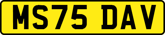 MS75DAV