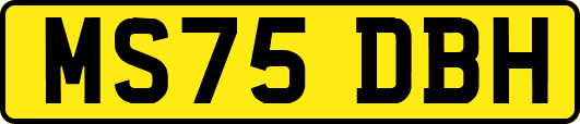 MS75DBH