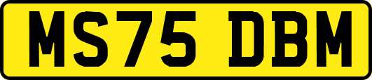 MS75DBM