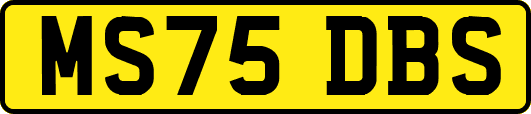 MS75DBS