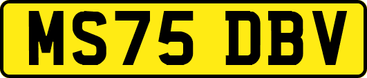 MS75DBV