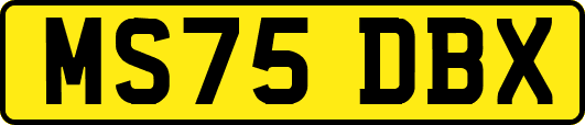 MS75DBX