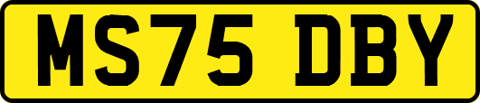 MS75DBY