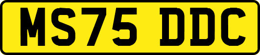 MS75DDC