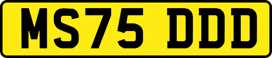 MS75DDD