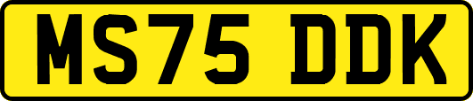 MS75DDK