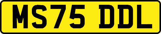 MS75DDL