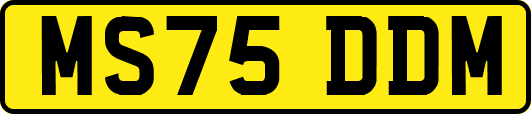 MS75DDM