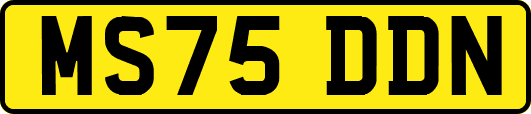 MS75DDN