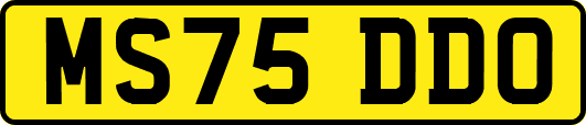 MS75DDO