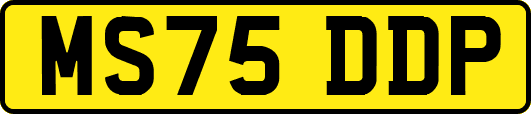 MS75DDP