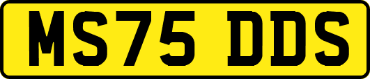 MS75DDS