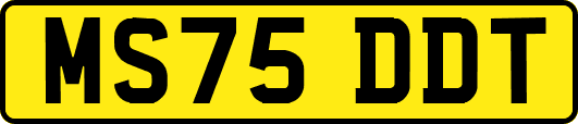 MS75DDT