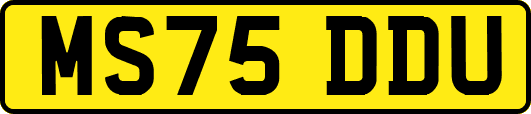 MS75DDU