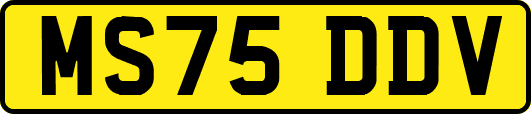 MS75DDV