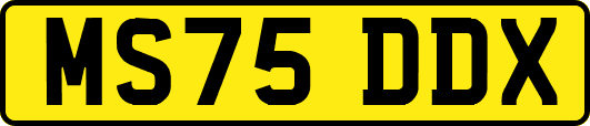 MS75DDX