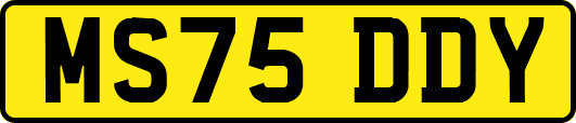 MS75DDY
