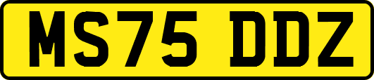 MS75DDZ