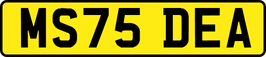 MS75DEA