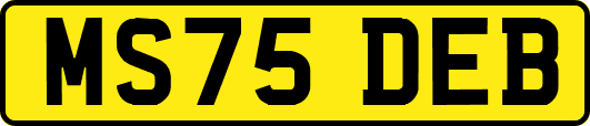 MS75DEB