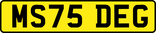 MS75DEG