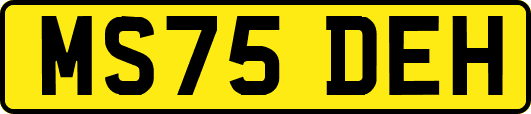 MS75DEH