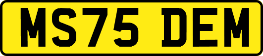 MS75DEM