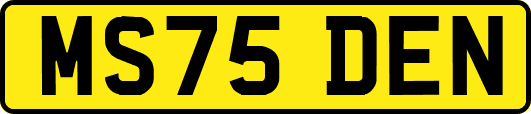 MS75DEN
