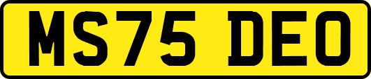 MS75DEO