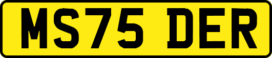 MS75DER