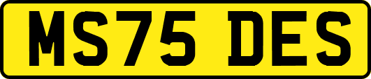 MS75DES