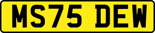 MS75DEW