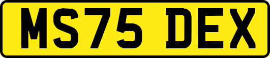 MS75DEX