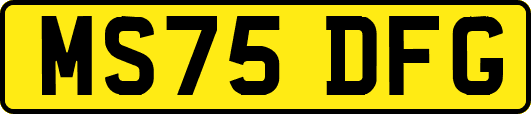 MS75DFG