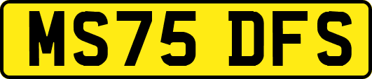 MS75DFS